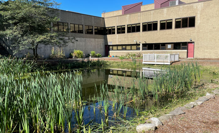 Life Sciences Innovation Pathways at Chelmsford High School