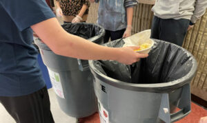 Chelmsford High School Ecology Club Composting